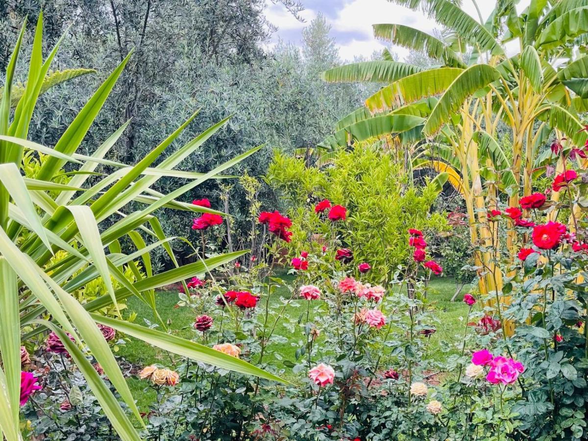 Ilafe Farmhouse, Villa Avec Piscine Chauffee Privee Et Jacuzzi Pour Familles Marrakesh Eksteriør billede