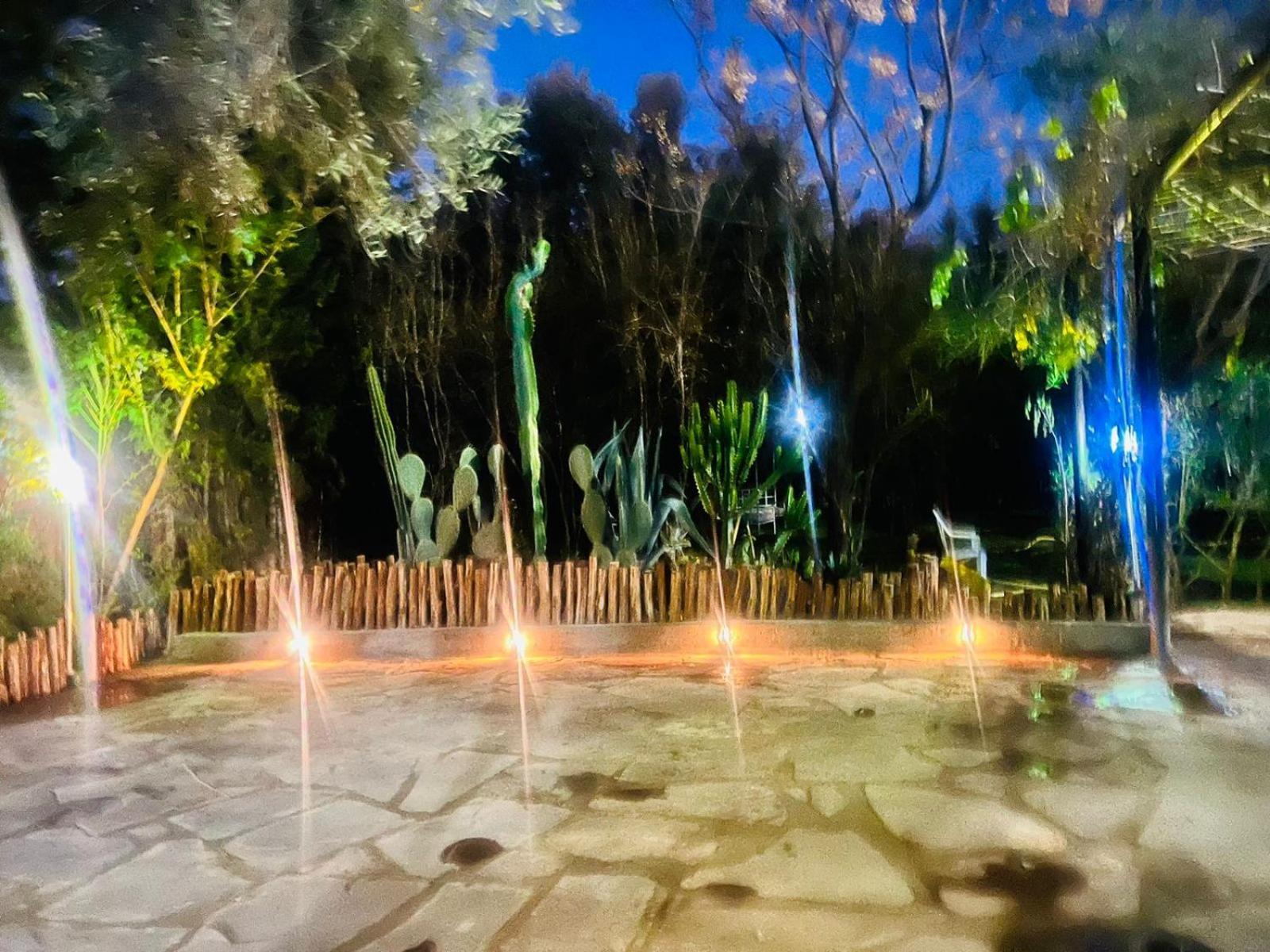 Ilafe Farmhouse, Villa Avec Piscine Chauffee Privee Et Jacuzzi Pour Familles Marrakesh Eksteriør billede