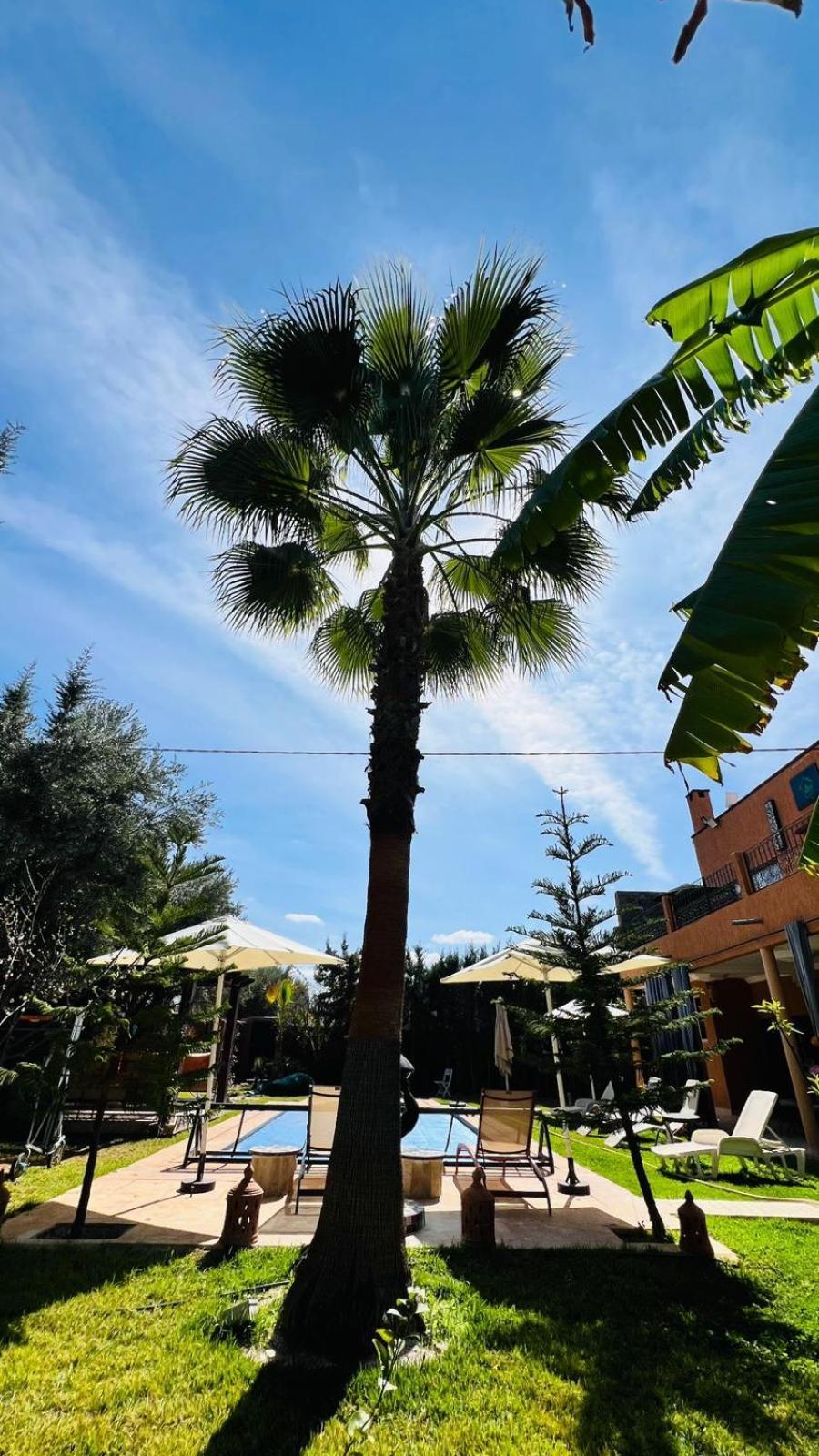 Ilafe Farmhouse, Villa Avec Piscine Chauffee Privee Et Jacuzzi Pour Familles Marrakesh Eksteriør billede